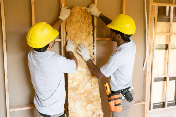 Best Attic Insulation Installation  in Eagle Grove, IA